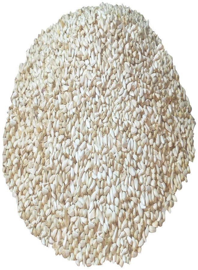 One Top White Safflower Seeds (Kusum Dana) Natural Bird Foods for Cockatiel, Silver Finches,Munia,Parakeets,Seed Eating All Birds Dry Bird Foods - Image 1